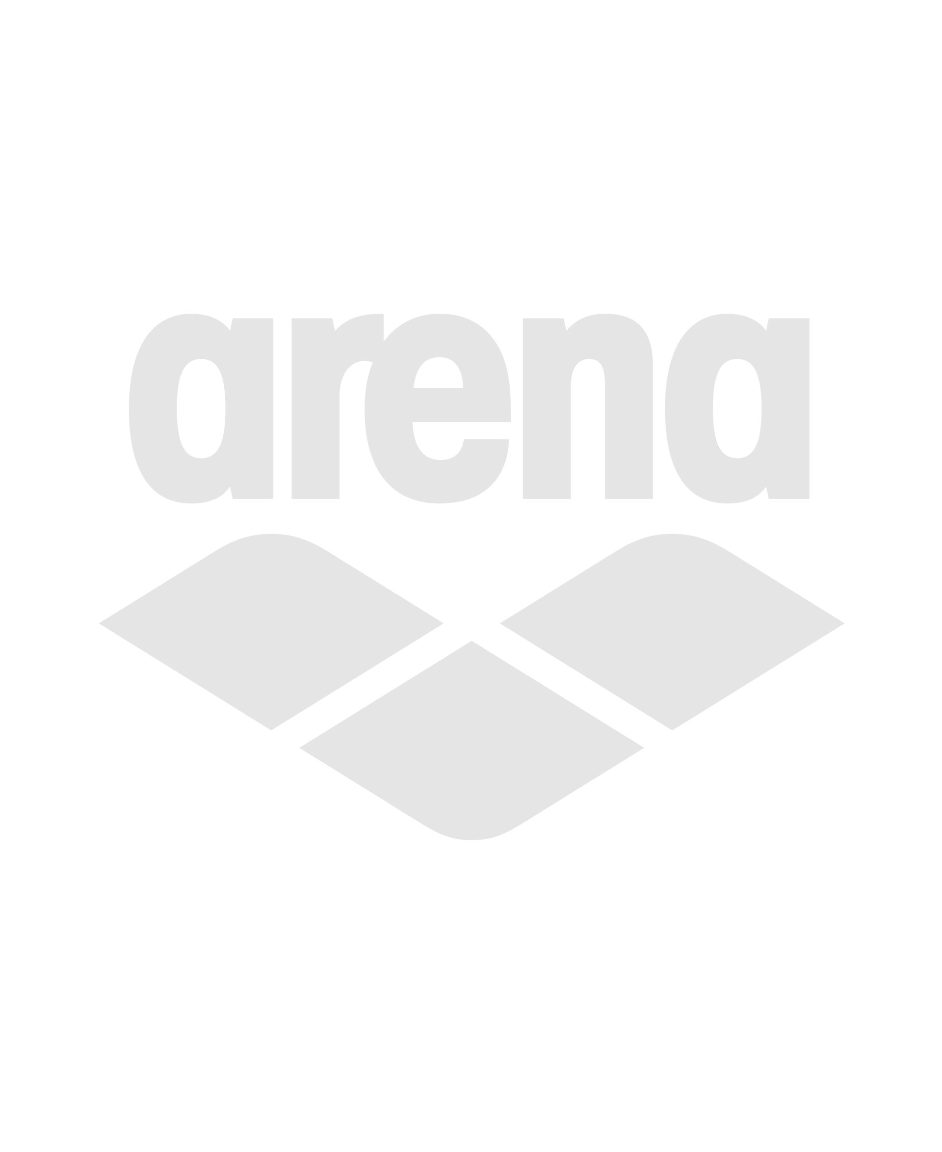 ArenaOutletStore